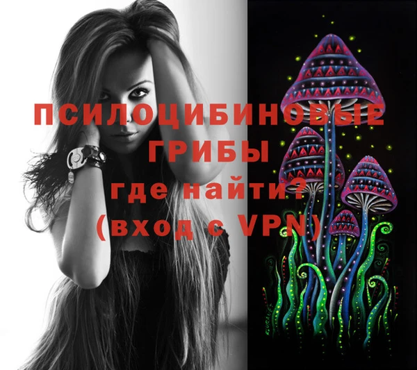 Альфа ПВП Горняк