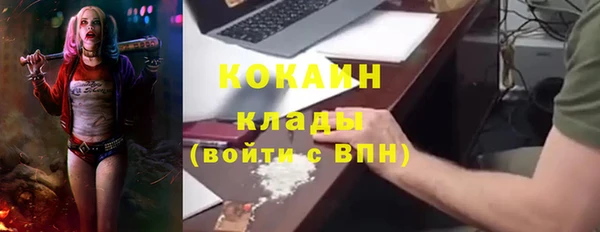 Альфа ПВП Горняк