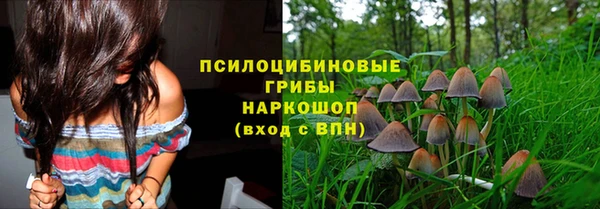 дживик Горнозаводск