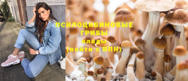 герыч Вязьма
