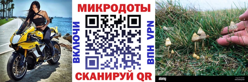 Галлюциногенные грибы мухоморы  гидра онион  Зеленоградск 